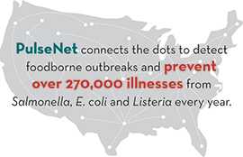 PulseNet connects the dots to detect foodborne outbreaks and prevent over 270,000 illnesses from Salmonella, E. coli and Listeria every year.