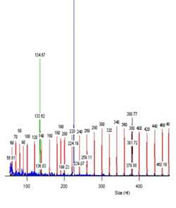 MLVA PulseNet Method