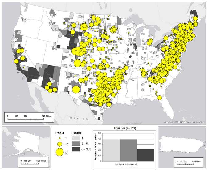 Map of rabid skunks reported in the United States during 2012. Majority of the cases occur in central and eastern United States.