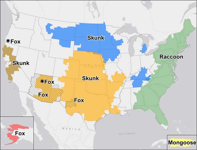 A map of terrestrial rabies reservoirs in the United States during 2012.