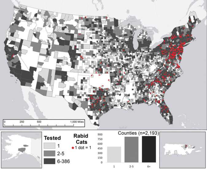 Reported cases of rabies in cats, by county, 2014