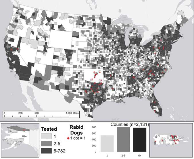 Reported cases of rabies in dogs, by county, 2014