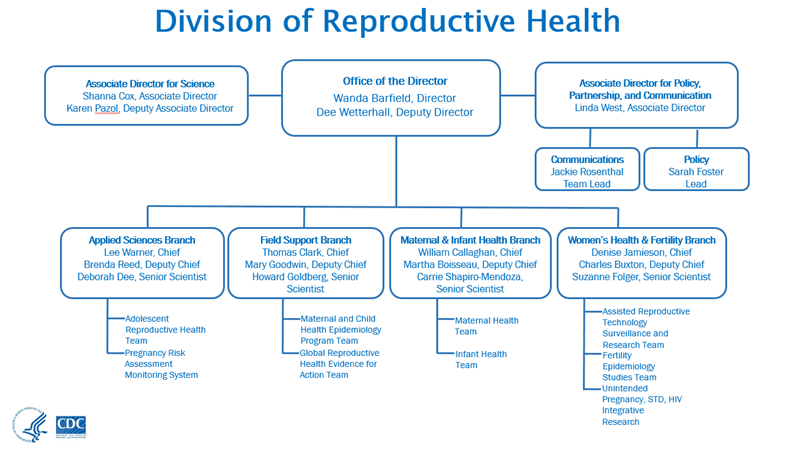 DRH organizational chart 2015