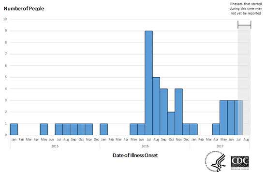 People infected with the outbreak strain of Salmonella Heidelberg, by date of illness onset