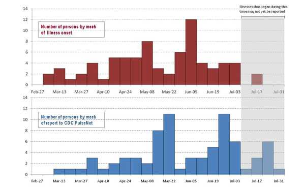 A bar graph indicating numbers of persons infected with the outbreak strains of Salmonella Heidelberg, by week of illness onset.