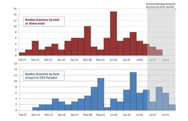 A bar graph indicating numbers of persons infected with the outbreak strains of Salmonella Heidelberg, by week of illness onset.