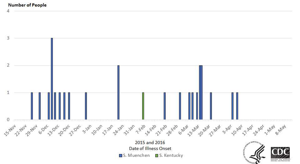 People infected with the outbreak strain of Salmonella Muenchen or Salmonella Kentucky, by date of illness onset*