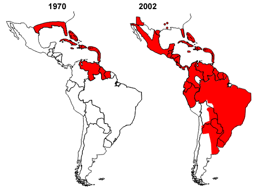 Mapa: distribución del Aedes aegypti (áreas sombreadas en rojo) en el continente americano en 1970, al final del programa de erradicación del mosquito y en 2002.