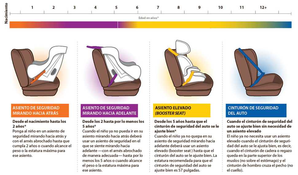 Gráfico: Todos los niños menores de 12 años deben sentarse en el asiento de atrás.