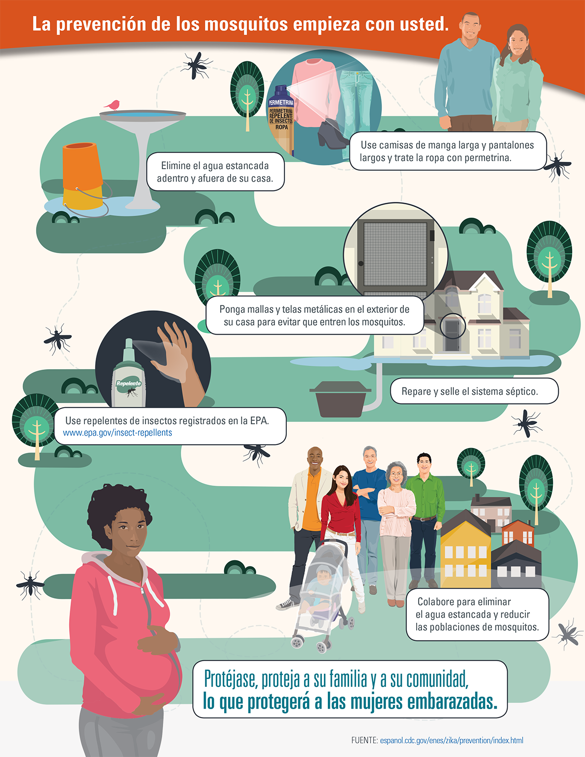 Infografía: La prevención de los mosquitos empieza con usted.