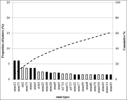 Fig 1-A: The 25 most common emm types contributing to disease in AfricaThe 25 most common emm types contributing to disease in Africa (there was a further emm type not included on this graph that was equal 25th; this was emm112): these 26 emm types accounted for 62.5% of all isolates from the region with 65 types contributing to the remaining 37.5% of isolates. Emm12, emm75, st62, emm74, emm1, emm3, st463, emm25, emm18, emm28, emm9, emm5, st171, emm71, st375, emm22, emm77, emm99, emm8,. Emm81, emm76, emm103, emm44, em114, emm43.