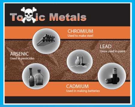 Toxic Metals