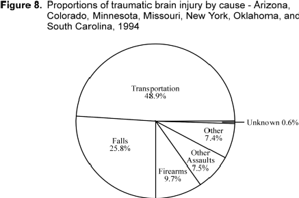 	Figure 8. Proportions of traumatic brain injury by cause - Arizona, Colorado, Minnesota, Missouri, New York, Oklahoma, and South Carolina, 1994