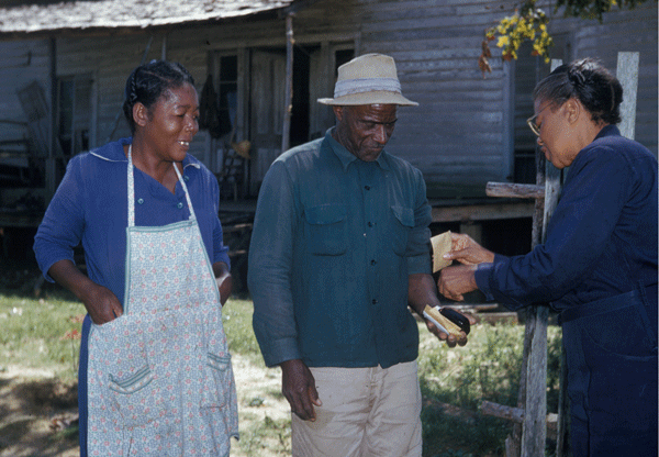 Nurse doing blood test on man