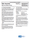 Haemophilus Influenzae Type b (Hib) Vaccine