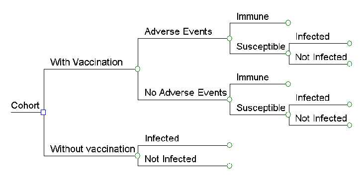 The figure shows a branching structure. It starts with a single birth cohort, which divides into 2 arms – with vaccination and without vaccination. The with vaccination arm further divides three time. The first division is into arms for those who either have or do not have an adverse reaction to vaccination, then those arms divide into arms where children either become immune to disease or remain susceptible, and finally the susceptible arms divide into those who are infected or not. The without vaccination arm simply divides once into those who are infected or not.