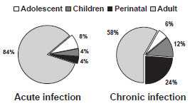 Age of Infection of Acute andChronic Hepatitis B Virus Infection chart as described in the Secular Trends section