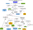 Algorithm to assess causality after individual adverse events following immunizations- 2012