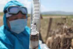 CDC field worker collecting a tick specimen