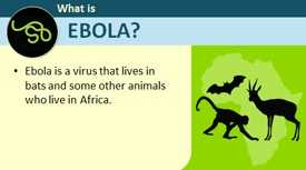 What is Ebola?