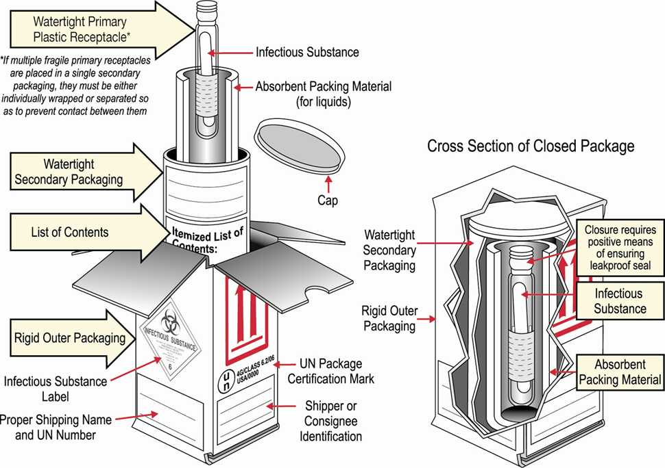 Packaging and Shipping Clinical Specimens Diagram