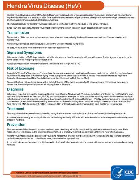 Factsheet: Hendra Virus Disease