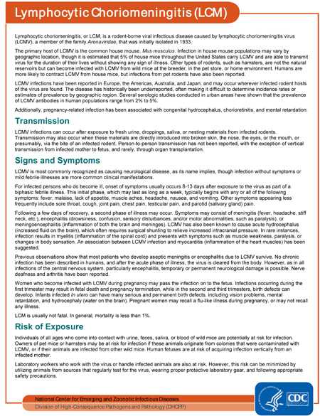 Factsheet: Lymphocytic Choriomeningitis (LCM)