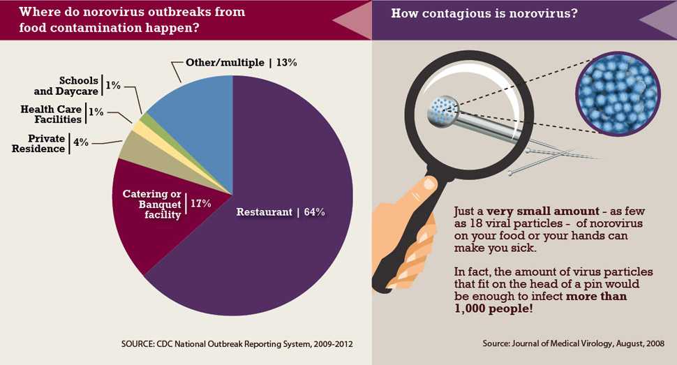 Most norovirus outbreaks from contaminated food occur in food service settings like restaurants. Just a very small amount of norovirus on your food or your hands can make you sick. The amount of virus particles that fit on the head of a pin would be enough to infect more than 1,000 people. 