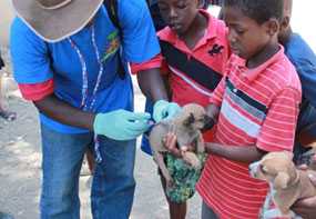 Children bring their puppies to the vaccination event in their neighborhood.