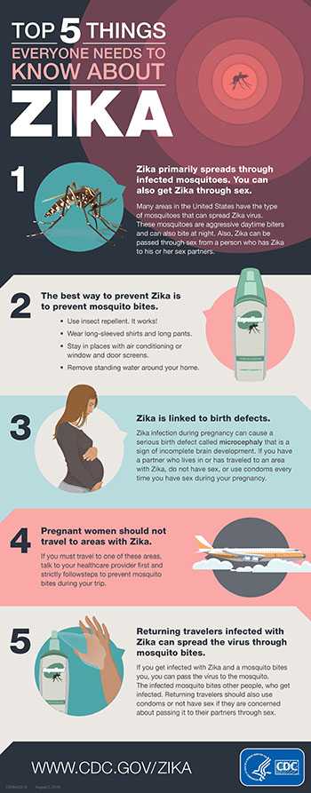 Top five things everyone needs to know about Zika fact sheet thumbnail