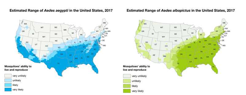 Two maps of the United States showing Aedes aegypti and Aedes albopictus mosquitoes are or have been previously found.  Aedes aegypti range is the southern half of the United States.  Aedes albopictus range is the eastern half of the United States as well as the southwest.