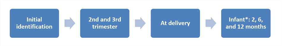 Initial identification, 2nd and 3rd trimester, At delivery, Infant: 2, 6, and 12 months