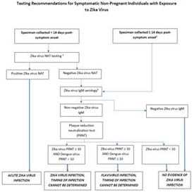 Zika Algorithm