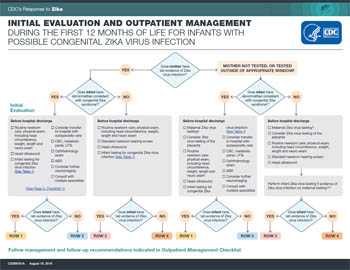 Use these tools to guide evaluation and testing of infants with possible congenital Zika virus infection.