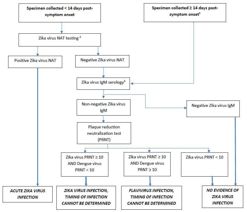 Testing Recommendations for Symptomatic Non-Pregnant Individuals with Exposure to Zika Virus