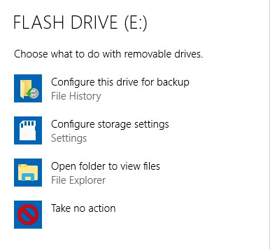 flash drive dialog box with options to choose from