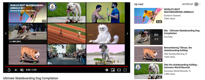 screenshot of related videos on YouTube