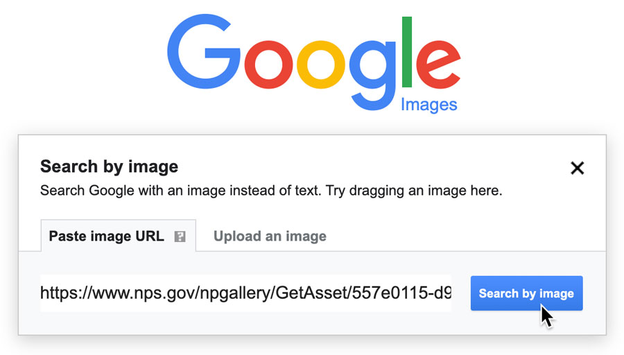 Paste image URL