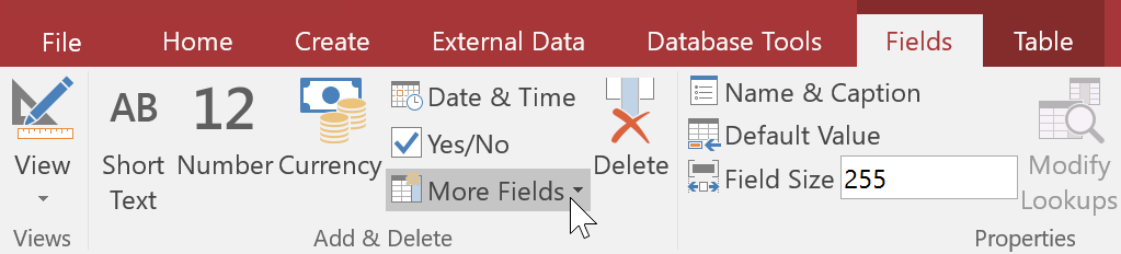 Clicking the More Fields drop-down command