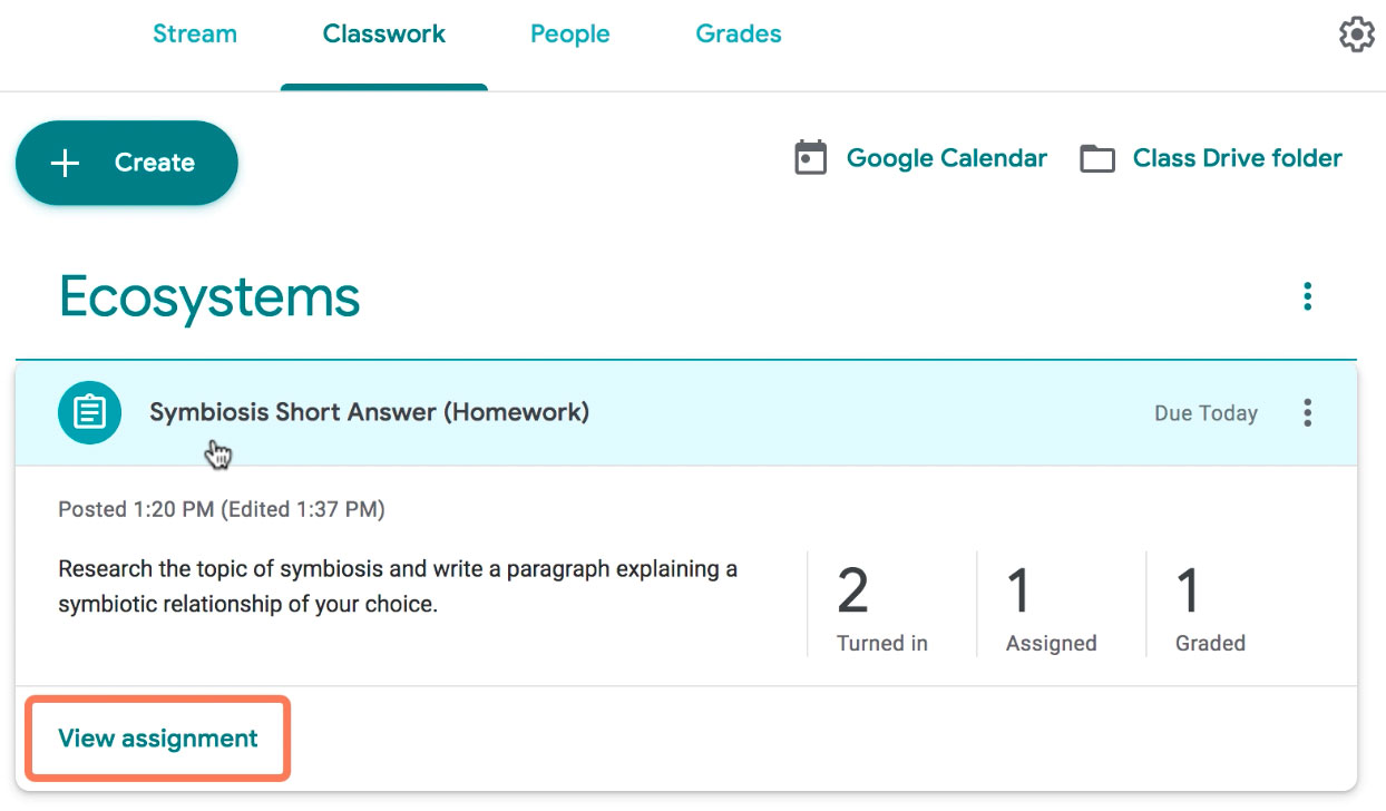 clicking View Assignment