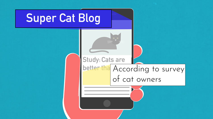 illustration of "Super Cat Blog" and "According to survery of cat owners" being highlighted from an article on a smartphone