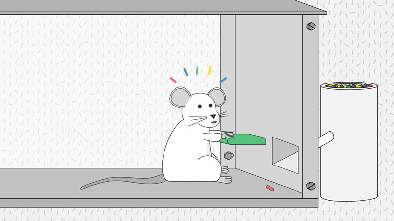 A mouse excited to find food after pushing a lever.