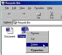 Deleting a File from the Recycle Bin