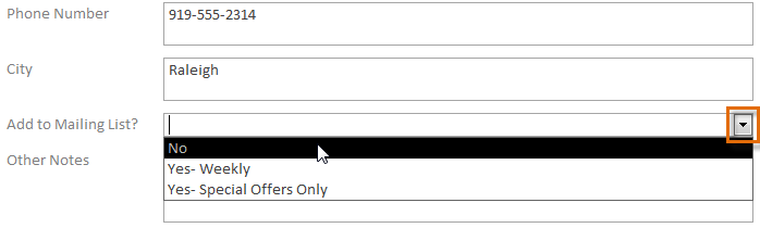 Testing the combo box in Form view