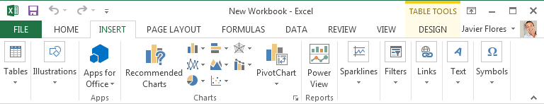 Screenshot of Excel 2013