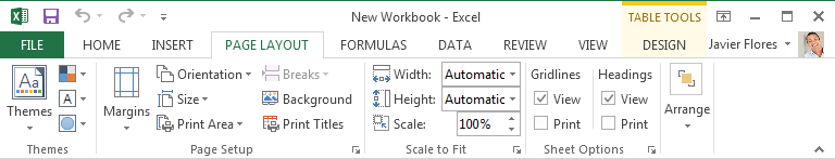 Screenshot of Excel 2013