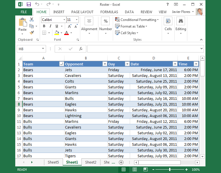 Screenshot of Excel 2013