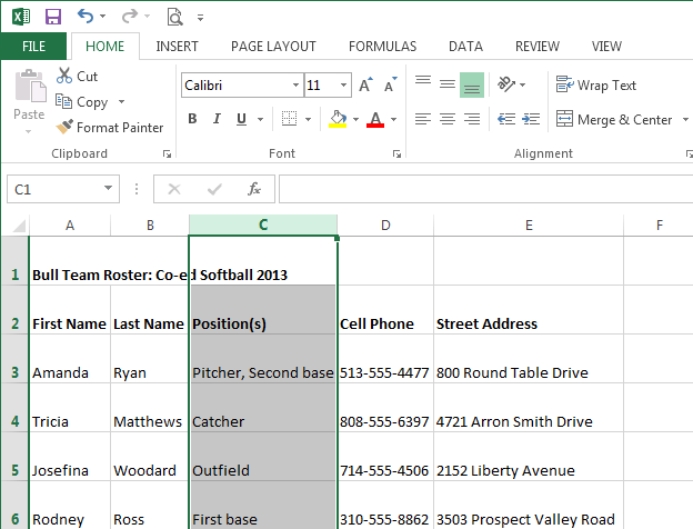 Screenshot of Excel 2013