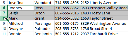 Screenshot of Excel 2013