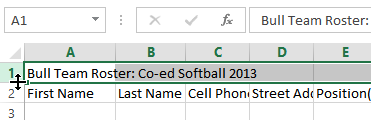 Screenshot of Excel 2013